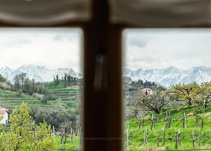 Hotel - & J. Vipolze